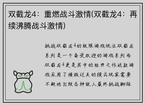 双截龙4：重燃战斗激情(双截龙4：再续沸腾战斗激情)